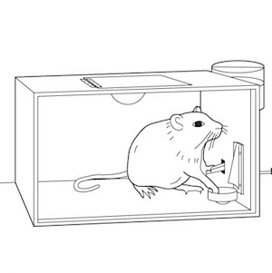Illustration for article titled We're All Addicts In the Future